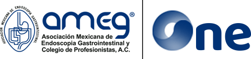 Campus Virtual AMEG